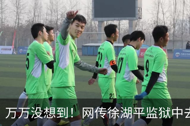 万万没想到！网传徐湖平监狱中去世，竟再次将南京博物院给拉下水