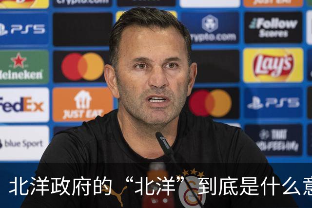 北洋政府的“北洋”到底是什么意思？不是北方洋人的意思
