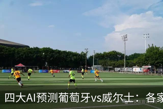 四大AI预测葡萄牙vs威尔士：各家均看好葡萄牙轻取对手