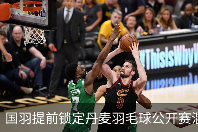 国羽提前锁定丹麦羽毛球公开赛混双冠军-国际在线