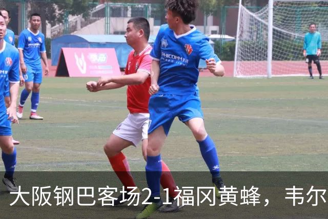 大阪钢巴客场2-1福冈黄蜂，韦尔顿、宇佐美贵史破门