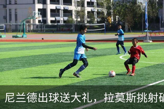 尼兰德出球送大礼，拉莫斯挑射破门！挪威1-2葡萄牙！