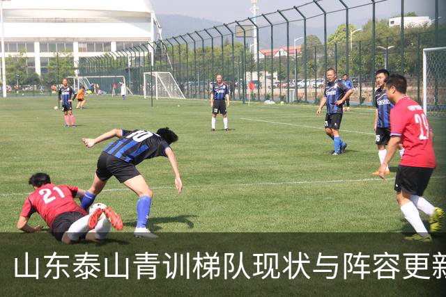 山东泰山青训梯队现状与阵容更新换代深度分析
