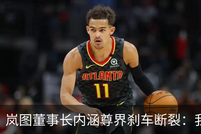 岚图董事长内涵尊界刹车断裂：我们是多层高强度钢板主梁