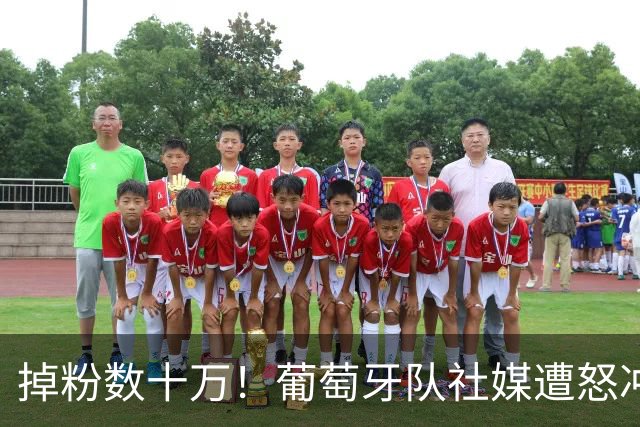 掉粉数十万！葡萄牙队社媒遭怒冲：向C罗道歉 若没他谁关注国家队