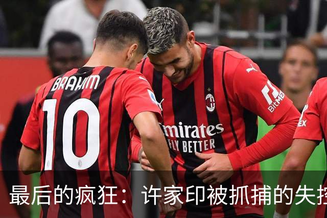 最后的疯狂：许家印被抓捕的失控三秒钟
