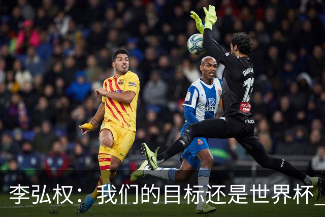 李弘权：我们的目标还是世界杯 只要国家需要我一定站出来
