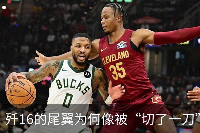 歼16的尾翼为何像被“切了一刀”？真是为了隐身吗