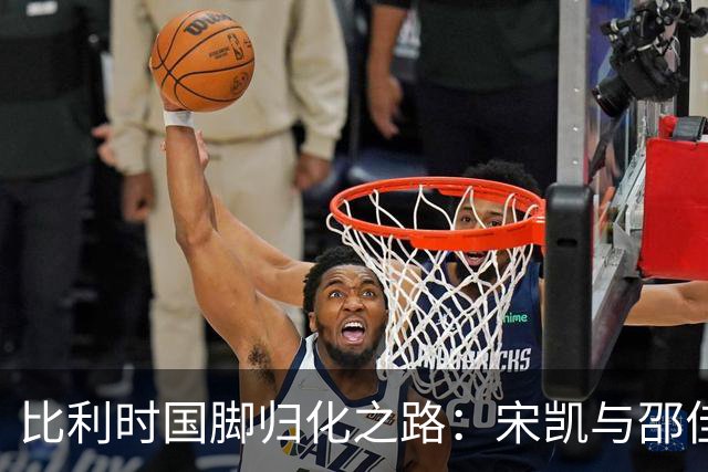 比利时国脚归化之路：宋凯与邵佳一的决策之作