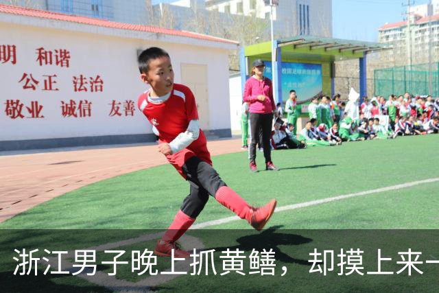 浙江男子晚上抓黄鳝，却摸上来一条毒蛇：狠狠咬住手不放！提醒：伪装性极强，严重可致残