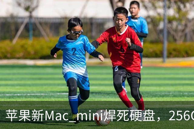 苹果新Mac mini焊死硬盘，256GB写入只有512GB一半