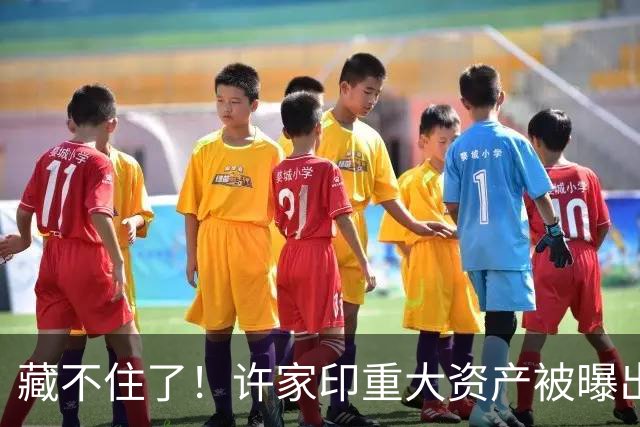 藏不住了！许家印重大资产被曝出，186.5亿转给了“重庆李嘉诚”