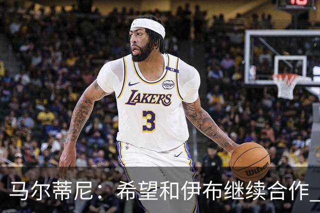马尔蒂尼：希望和伊布继续合作 未和凯西达成一致