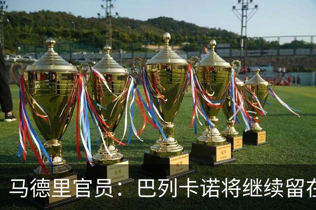 马德里官员：巴列卡诺将继续留在巴列卡斯球场