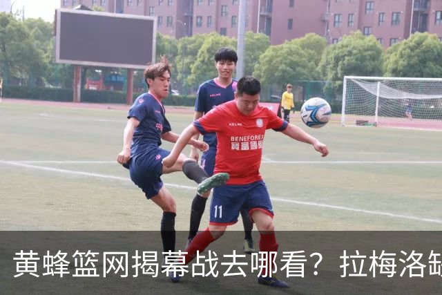 黄蜂篮网揭幕战去哪看？拉梅洛缺阵，DAZN免费试用能看