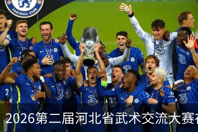 2026第二届河北省武术交流大赛在沧州开幕