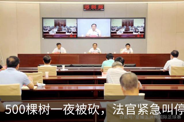500棵树一夜被砍，法官紧急叫停并传唤公园负责人