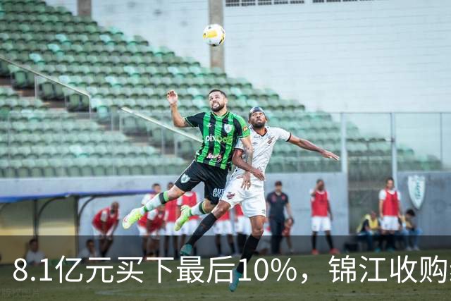 8.1亿元买下最后10%，锦江收购维也纳十年终收官